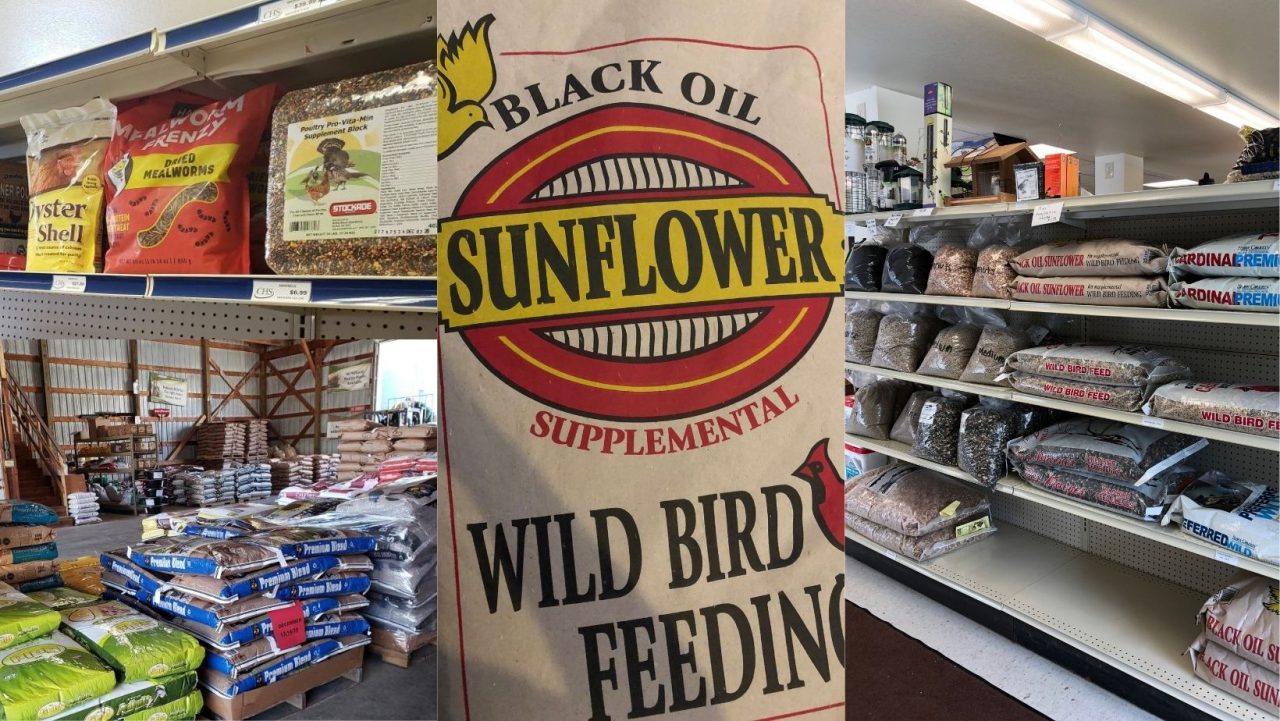 Wild bird seed bags