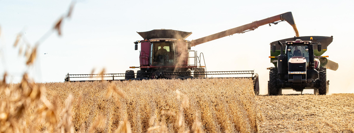 Combine harvesting field