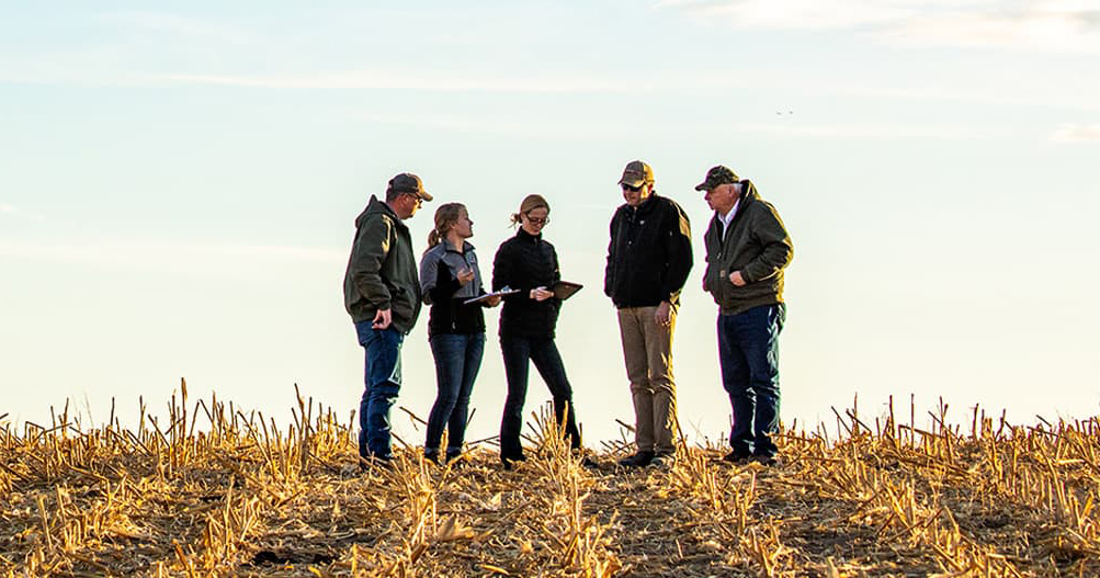 Five people standing and talking in a harvested field