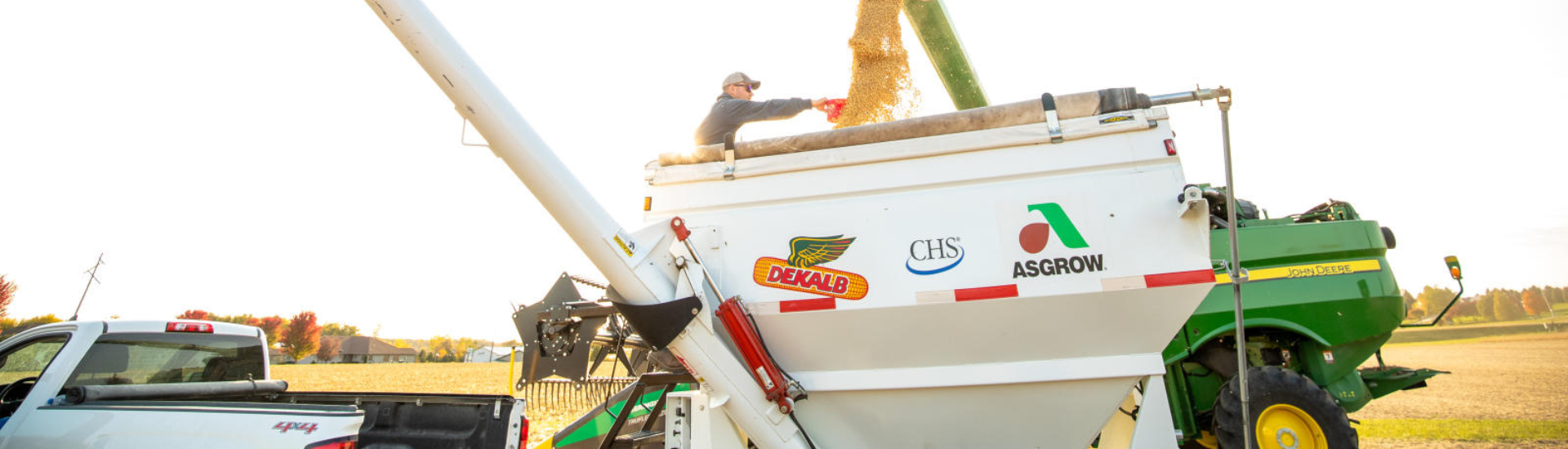 Farmer unloading grain